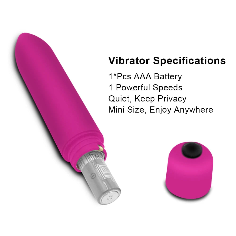 plug anal et mini vibromasseur